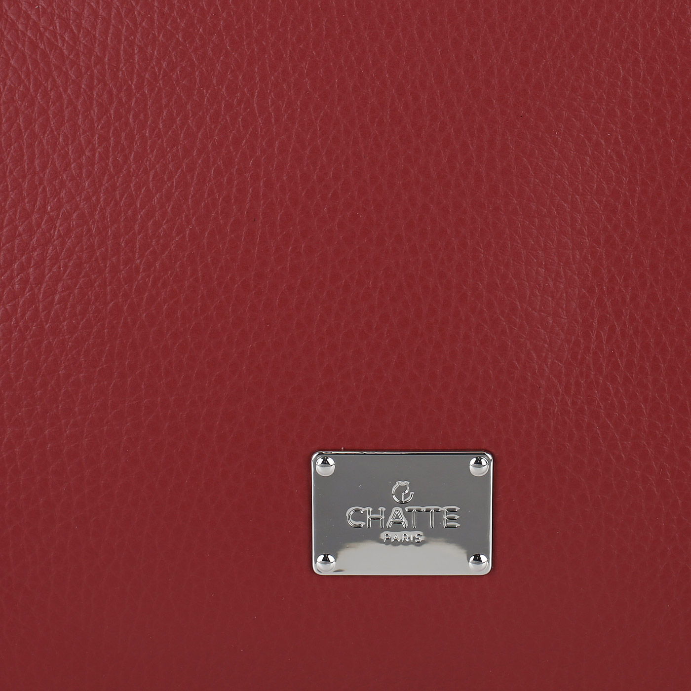 Кожаная сумка-тоут Chatte 