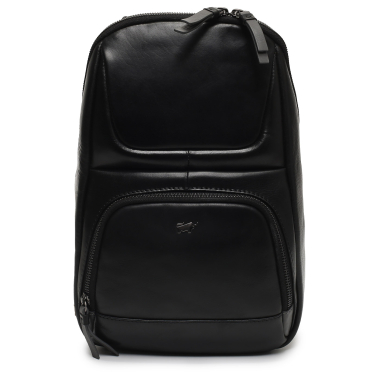 Braun Buffel